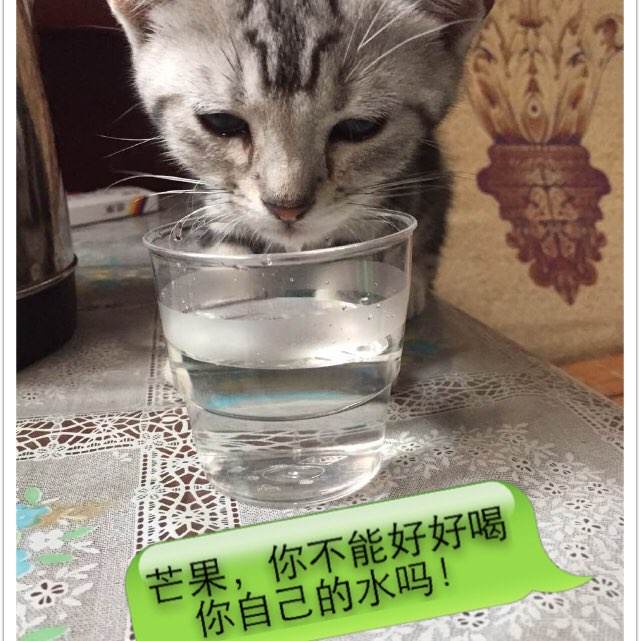 UniversityoftheWestIndies毕业证